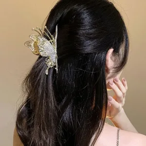 Papillon éclat